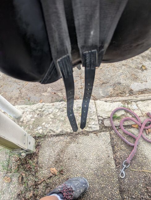 Dressursattel. Albert Hock, Hock Albert, Ines, Dressage Saddle, Unterschauersberg, Image 8