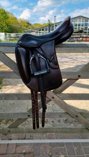 Dressursattel Amerigo, Modell Vega, Amerigo Vega, Cynthia, Dressage Saddle, Münster, Image 5