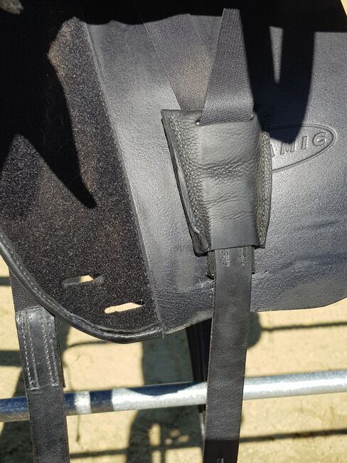 Dressursattel Bynamic, Bynamic Dressursattel , Biena, Dressage Saddle, Dortmund , Image 2