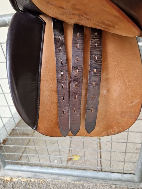 Dressursattel Classis Pilatus Röösli, Röösli Classic Pilatus, Sarah, Dressage Saddle, Hittnau, Image 4