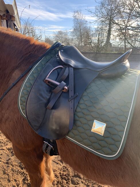 Dressursattel - County Competitor - 16,5, County Competitor , Michaela , Dressage Saddle, Merkendorf, Image 3