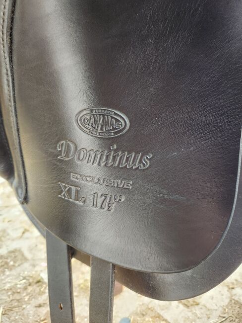 Dressursattel, Daw-Mag  Dominus , Svenja franke, Dressage Saddle, Rannungen