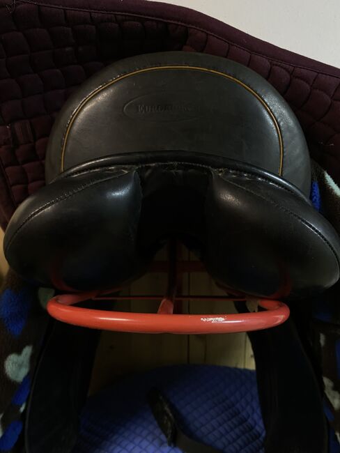 Dressursattel Euroriding Luxor 17‘, Euroriding Luxor, Julia Folger, Dressage Saddle, Bruckmühl, Image 4