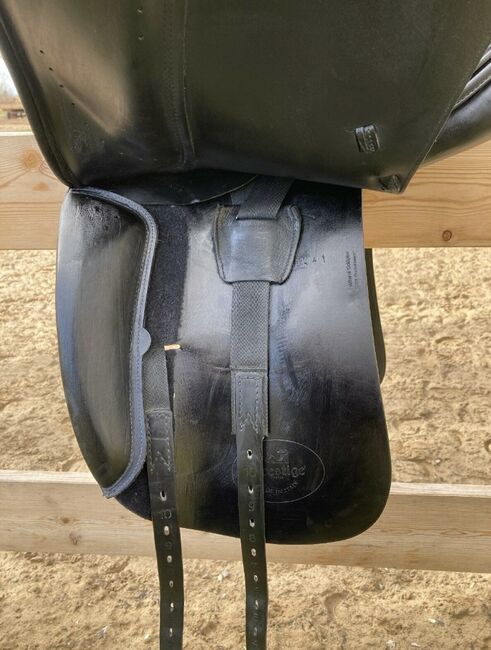 Dressursattel Euroriding Prestige Emilio zu verkaufen !, Euroriding Prestige Emilio, Julia, Dressage Saddle, Heygendorf , Image 9