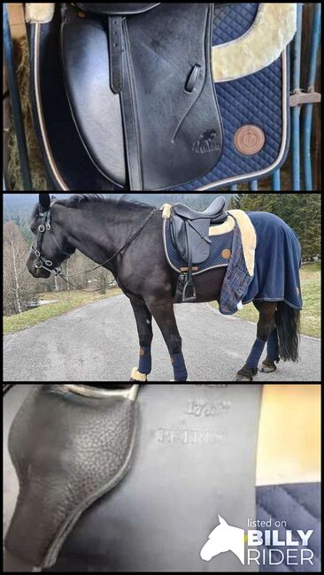 Dressursattel, Felix Bühler  Petrus, Nadja , Dressage Saddle, Schwarzenberg am Böhmerwald , Image 4