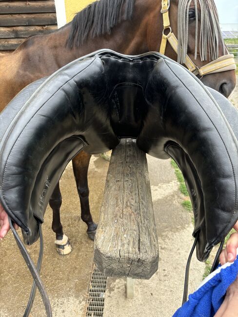 Dressursattel Frank Baines, Frank Baines, Manuela Diethard, Dressage Saddle, Weißkirchen, Image 7