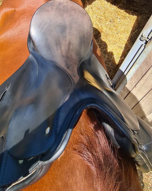 Dressursattel 'Grand Gilbert' Passier, Passier Dressursattel Grand Gilbert , Djana Verhoeven, Dressage Saddle, Erkrath, Image 9