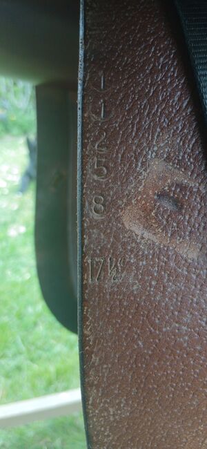 Dressursattel Harry Dabbs (Jaguar), Harry Dabbs Elegant, Bibbi, Dressage Saddle, Veltheim, Image 4