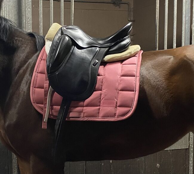 Dressursattel, Hemano Black Pearl , Marina, Dressage Saddle, Hövelhof