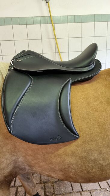 Dressursattel HIDALGO Mallorca Spezial mit Antikschweif, HIDALGO  Mallorca Spezial, Sarah Greiter-Lentsch , Dressage Saddle, Serfaus