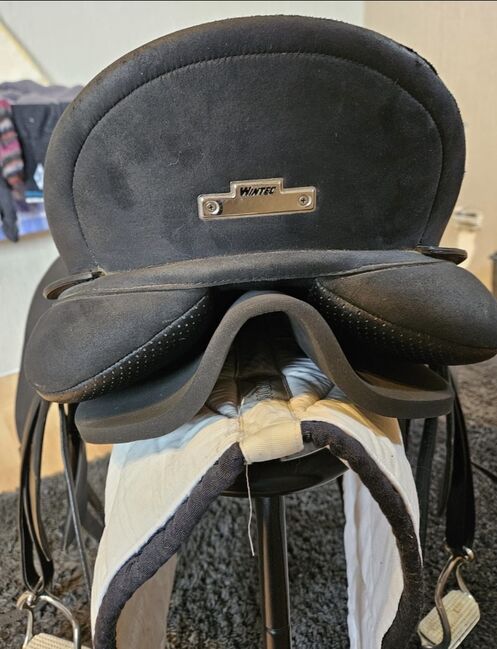 Dressursattel Isabell Werth, Isabell Werth Wintec, Anna Petersen, Dressage Saddle, Itzehoe, Image 4