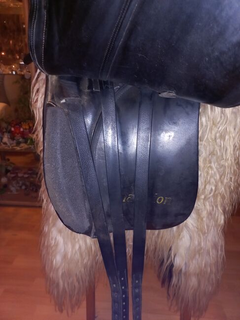 Dressursattel Kieffer Champion, Kieffer Champion , Missy, Dressage Saddle, Bamberg, Image 14