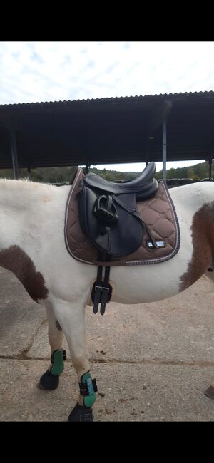 Dressursattel maxflex guter Zustand, maxflex maxflex, Susanne, Dressage Saddle, Weinstadt