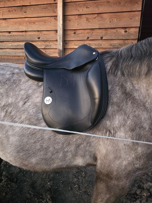 Dressursattel Meyer Selles, Meyer Selles, Hasse, Dressage Saddle, Raguhn-Jeßnitz 