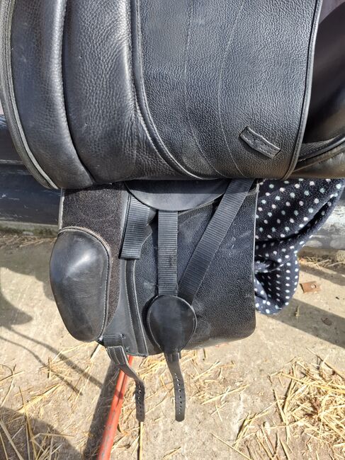 Dressursattel  Monarch, Monarch  Dressursattel , Christiane Krause, Dressage Saddle, Bad Nauheim, Image 5