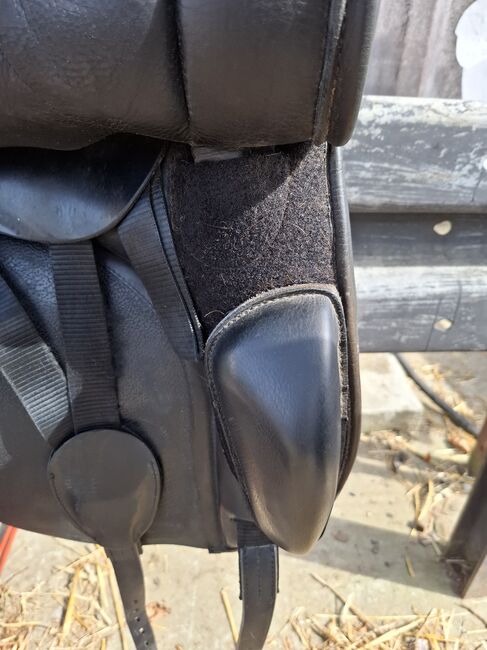 Dressursattel  Monarch, Monarch  Dressursattel , Christiane Krause, Dressage Saddle, Bad Nauheim, Image 7