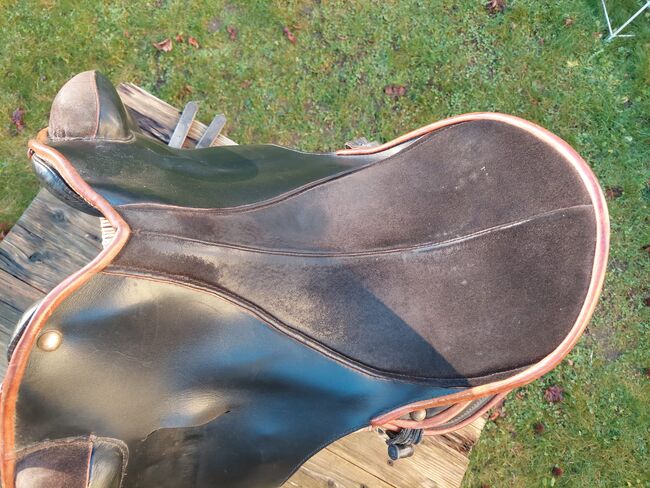 Dressur Sattel Omega Bentaiga, Signum Classic, Ulrike, Dressage Saddle, Bad Oeynhausen, Image 7