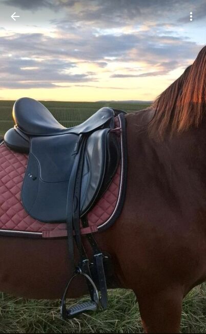 Dressursattel - Orthopädischer Sattel, MySattel Elegance M, Monoblatt Dressursattel , Katharina , Dressage Saddle, Bingen am Rhein