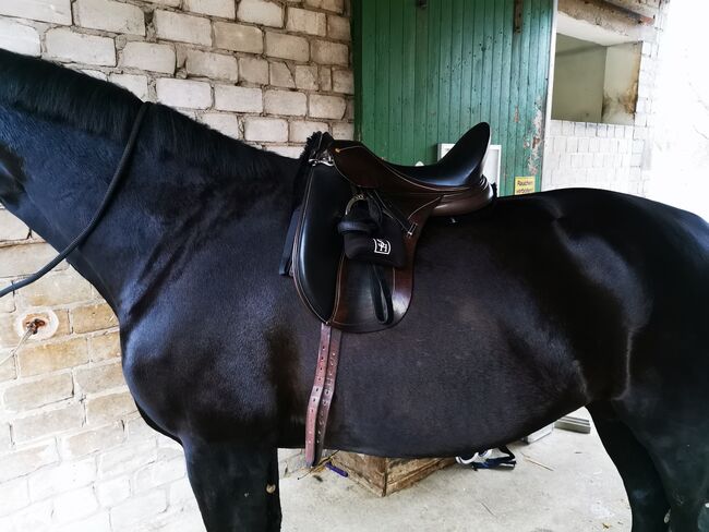 Dressursattel Schleese Mambo II 18'' (BJ 10_2019) mit PSI Kissen, gut erhalten, Schleese Mambo, Birgit. Gerne Telefon mobil:01792414918, Dressage Saddle, Oerlinghausen, Image 7