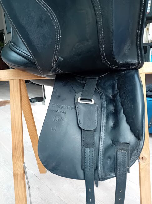 Dressuurzadel Seaɓis Catagena Pro 18", Seabis  Catagena Pro, Silvia , Dressage Saddle, Berlicum , Image 7