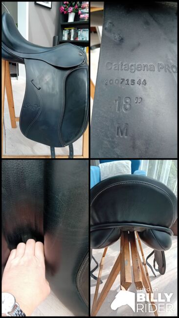 Dressuurzadel Seaɓis Catagena Pro 18", Seabis  Catagena Pro, Silvia , Dressage Saddle, Berlicum , Image 18