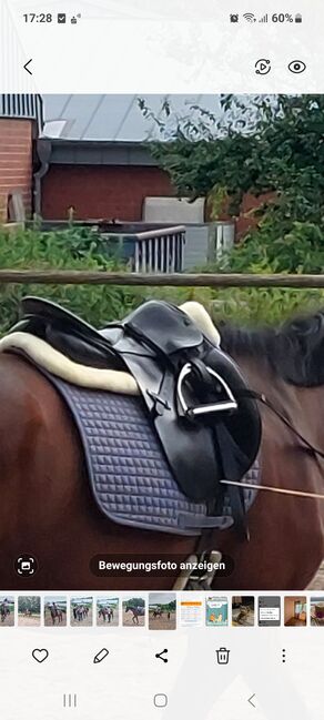 Dressursattel Stübben, Stübben , Elisa Heinig, Dressage Saddle, Lingen