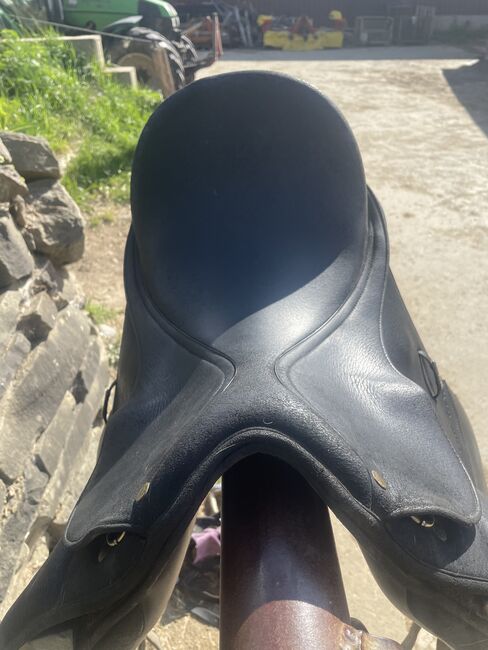 Dressursattel Wintec Isabell Werth, Wintec , Nelly Bätzel, Dressage Saddle, Freudenberg , Image 6