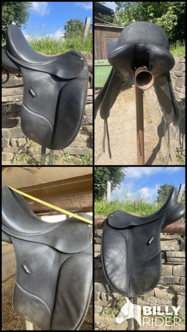 Dressursattel Wintec Isabell Werth, Wintec , Nelly Bätzel, Dressage Saddle, Freudenberg , Image 8