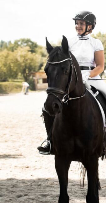 Dressurpferd zu verkaufen, Carolin Rothmüller , Horses For Sale, Wiener Neustadt, Image 3