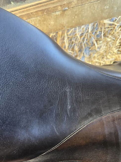 Dressursattel 17.5", Ella, Dressage Saddle, Glarus, Image 2