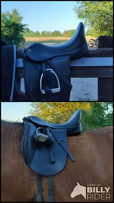 Dressursattel 17' (Rigoletto), Rigoletto , Charlize , Dressage Saddle, Großlangheim, Image 3