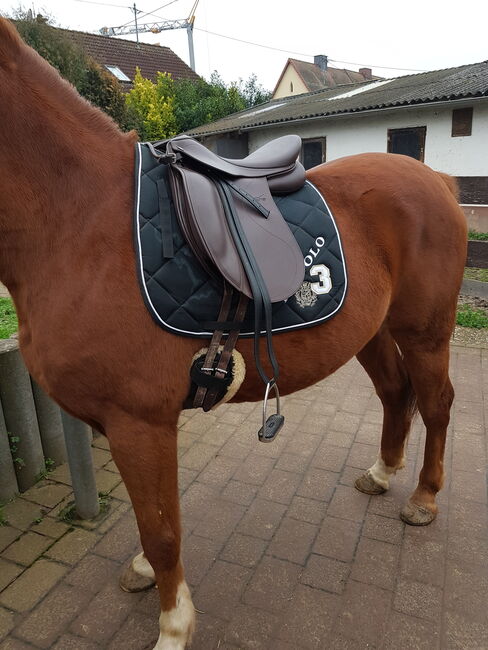 Dressursattel, 17 Zoll, Tekna, braun, Tekna  Icelandik, s-line, Heike Oestern , Dressage Saddle, Zellertal, Image 4