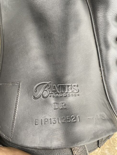 Dressursattel Bates 17 Zoll, Bates  Bates Cair , Glos Nelly , Dressage Saddle, München, Image 4