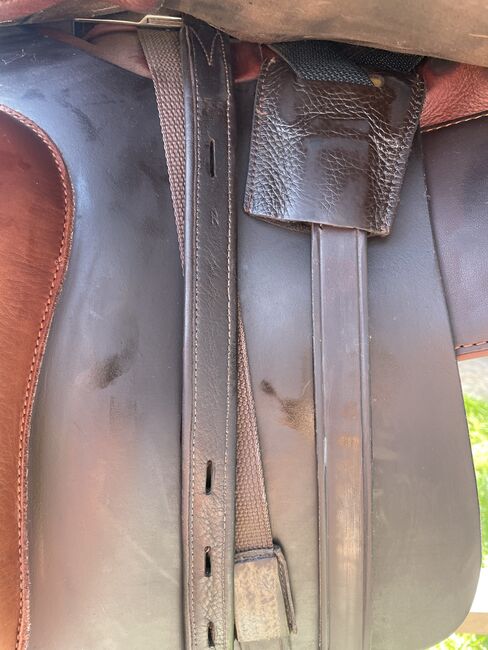 Dressursattel Cordoba Comfort, Iberosattel Cordoba Comfort, Martina Kammerlander-Fischer, Dressage Saddle, Starnberg, Image 12