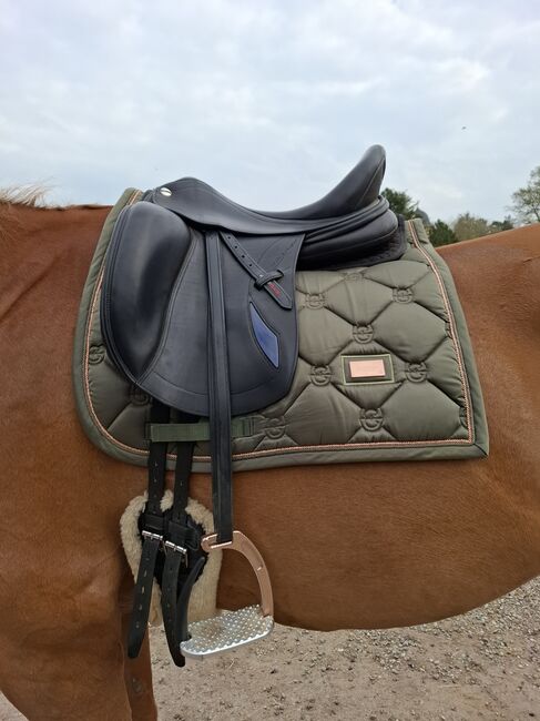 Dressursattel erreplus connect 17zoll, Erreplus  Connect, Andrea , Dressage Saddle, Schwerin