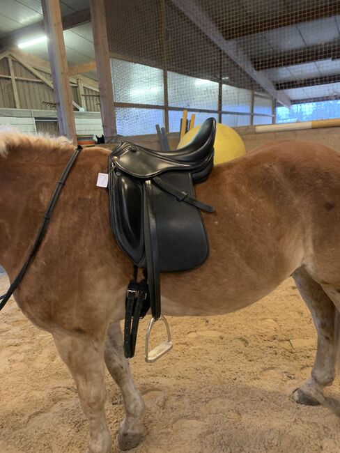 Dressursattel von Deuber& Partner für kurzen Rücken, Deuber und Partner Nova Flex Libra, Maya W, Dressage Saddle, Ostfildern