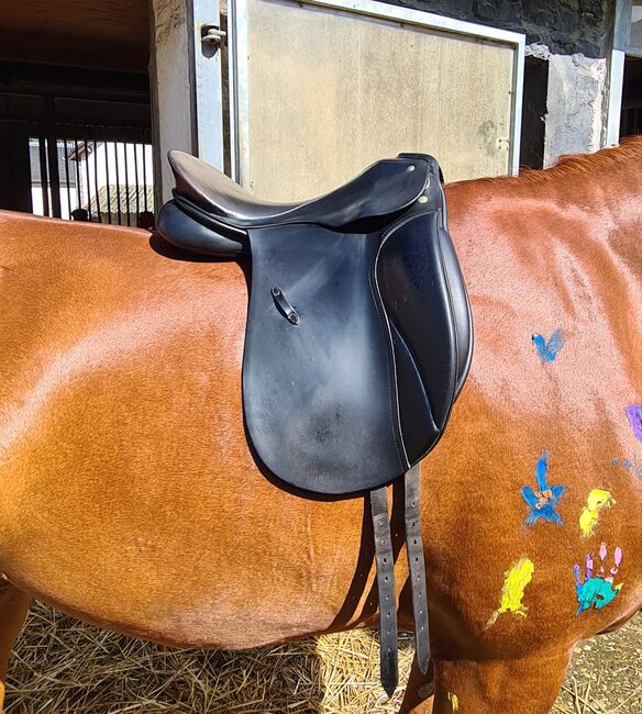 Dressursattel 'Grand Gilbert' Passier, Passier Dressursattel Grand Gilbert , Djana Verhoeven, Dressage Saddle, Erkrath, Image 5