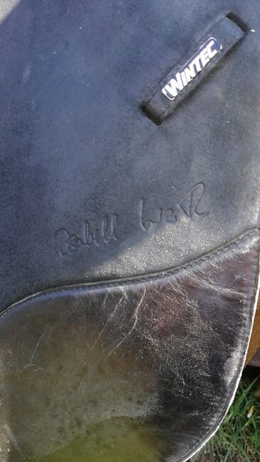 Dressursattel Isabell Werth mit Cair, Wintec, Laura-Marie Lemke, Dressage Saddle, Sarau, Image 3