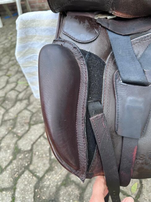 Dressursattel Massimo Dressur 1 - Sprenger Steigbügel & Riemen, Massimo Dressur 1, Claudia Moertter, Dressage Saddle, Krefeld, Image 6