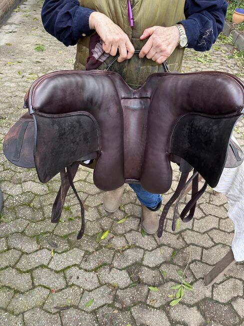 Dressursattel Massimo Dressur 1 - Sprenger Steigbügel & Riemen, Massimo Dressur 1, Claudia Moertter, Dressage Saddle, Krefeld, Image 5