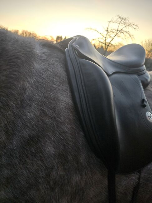 Dressursattel Meyer Selles, Meyer Selles, Hasse, Dressage Saddle, Raguhn-Jeßnitz , Image 5
