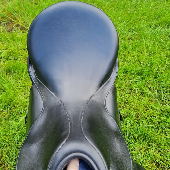 Dressursattel, Passier  Corona, Daniela Herrmann, Dressage Saddle, Wilhelmshaven, Image 4