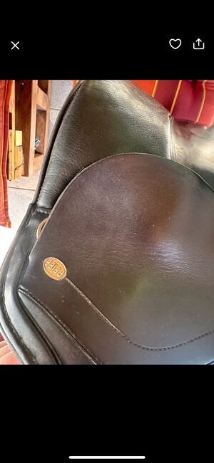 Dressursattel Pfiff Größe 17,5 schwarz, Pfiff, Jenny, Dressage Saddle, Odenthal, Image 3