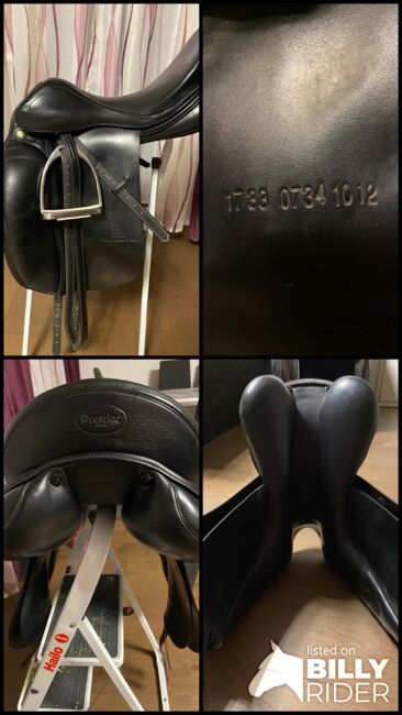 Dressursattel Prestige Modena, Prestige Modena, Anna, Dressage Saddle, Deutsch Wagram, Image 8