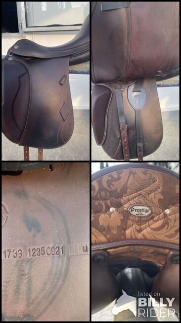 Dressursattel Prestige Philosophy KW34/17 CPS Baum, Prestige Philosophy, Nicki, Dressage Saddle, Bruckberg, Image 12