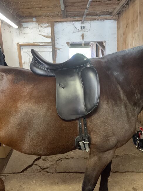 Dressursattel Prestige Top Dressage 17 Zoll (2023), Prestige  Top Dressage, Sandra Oberhaus, Dressage Saddle, Kempten , Image 7