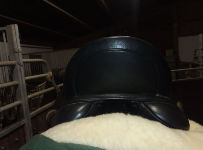 Dressursattel Schleese „TANGO“, Schleese  Tango, Kurth, Dressage Saddle, Engelskirchen, Image 2