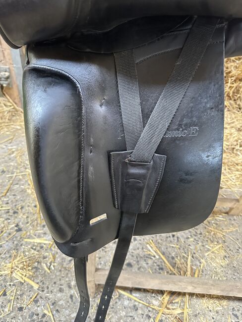 Dressursattel Schumacher Profi Dynamic E, Schumacher  Profi Dynamic E, Lisanne Haarhoff, Dressage Saddle, Münster , Image 8