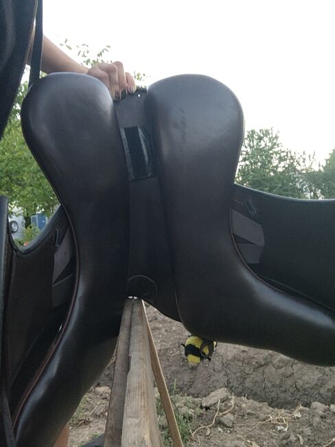 Dressursattel Signum Omega Sattel Kenzie Dysli, Signum Kenzie Dysli Omega, Wiebke Hermyt, Dressage Saddle, Bernau bei Berlin, Image 10