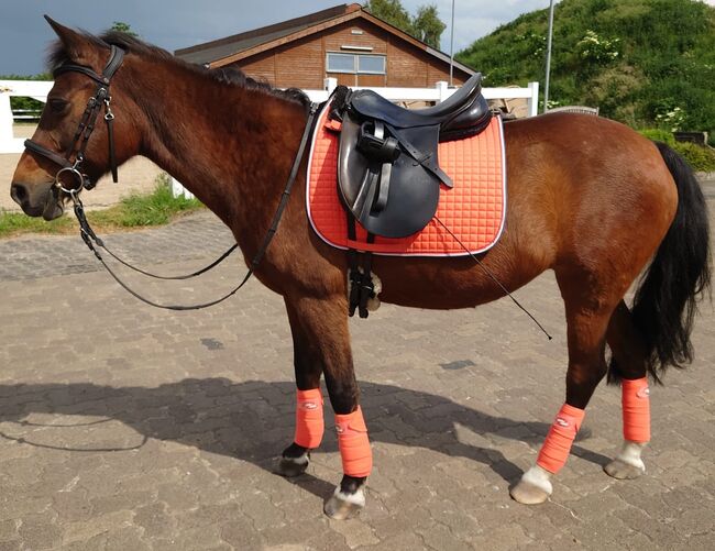 Dressursattel Stübben 17", Stübben, Janina Beilfuß, Dressage Saddle, Ahrensbök, Image 7
